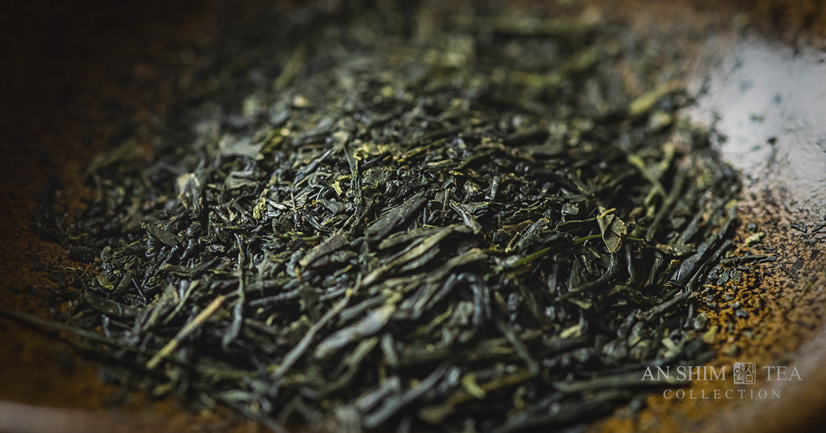 Sencha