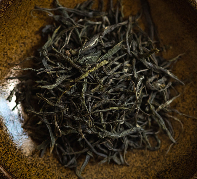 Anhua Song Zhen