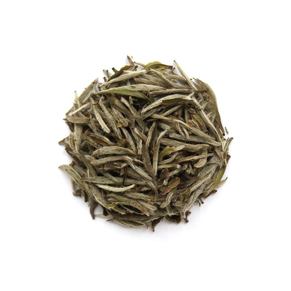 Bai Hao Yin Zhen