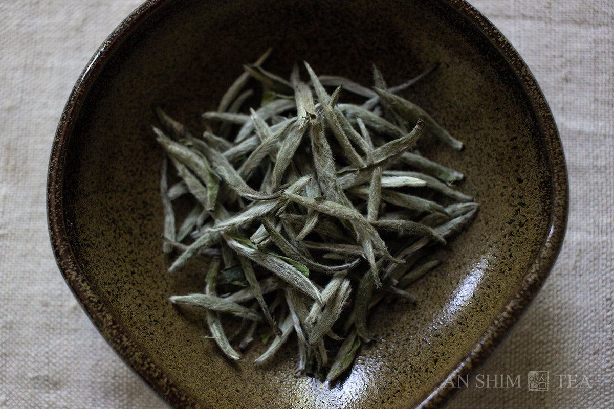Bai Hao Yin Zhen