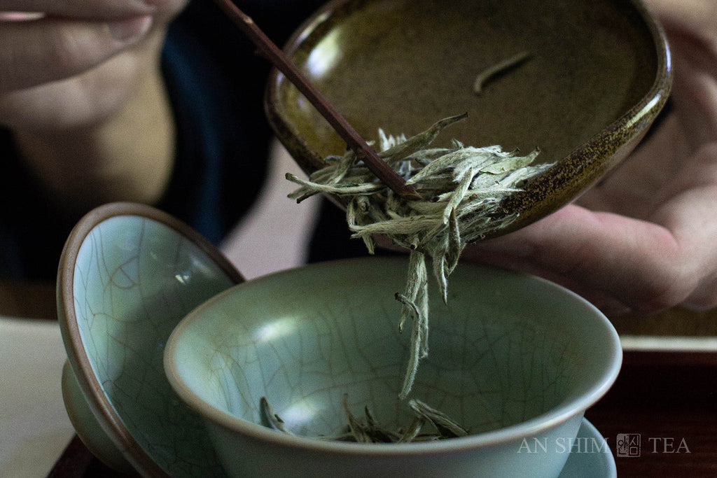 Bai Hao Yin Zhen