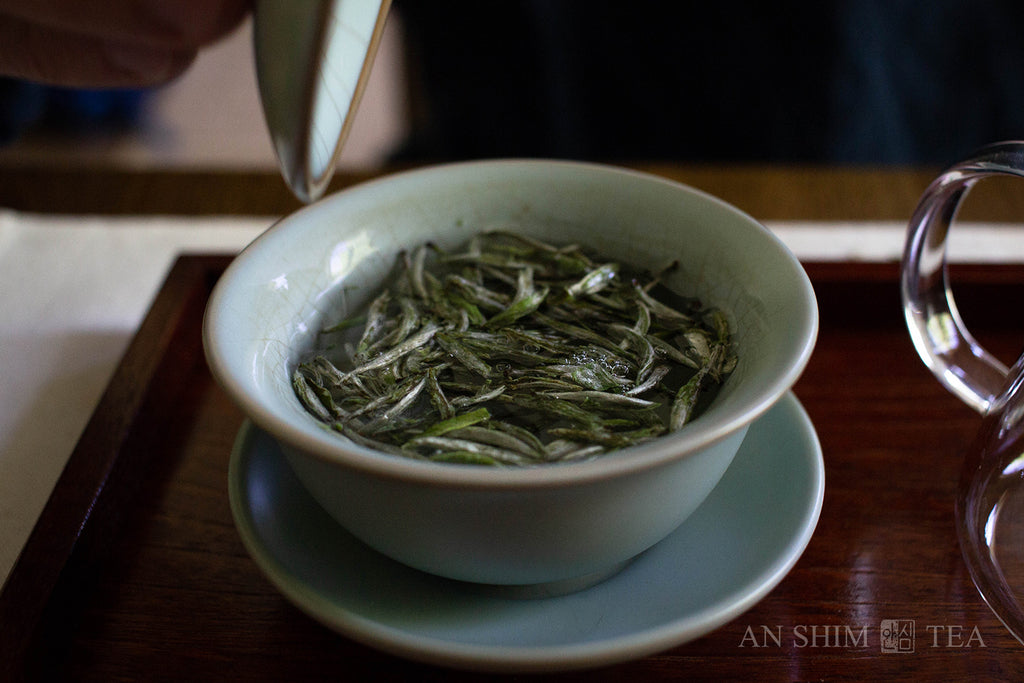 Bai Hao Yin Zhen