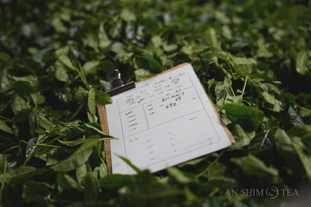 Matcha Washimine