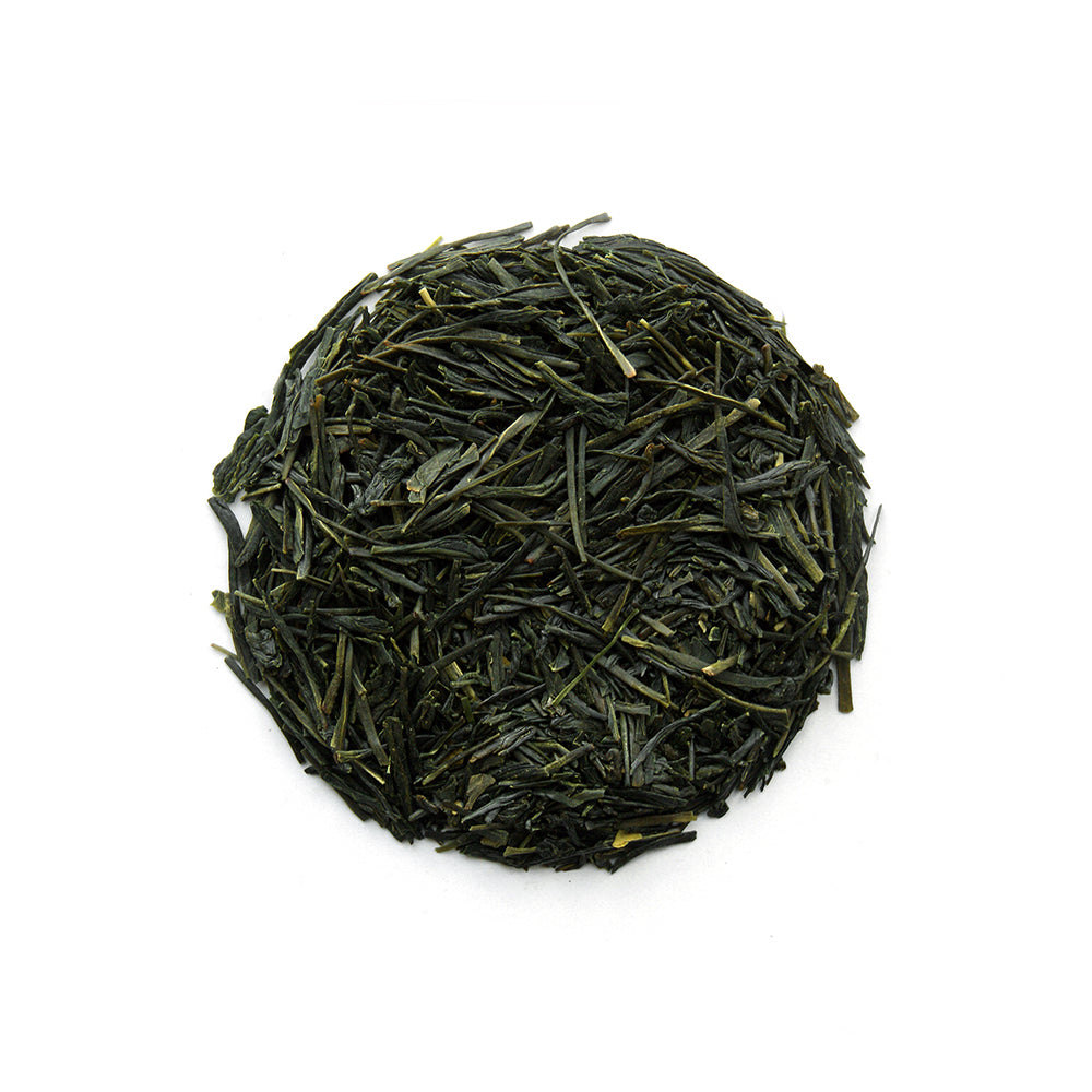 Sencha