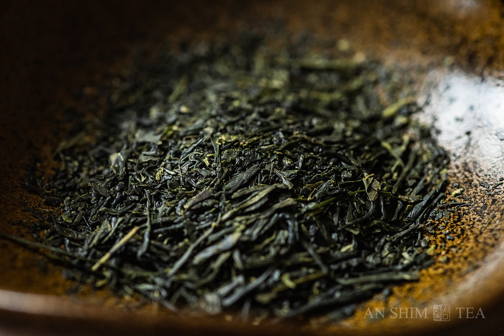 Sencha