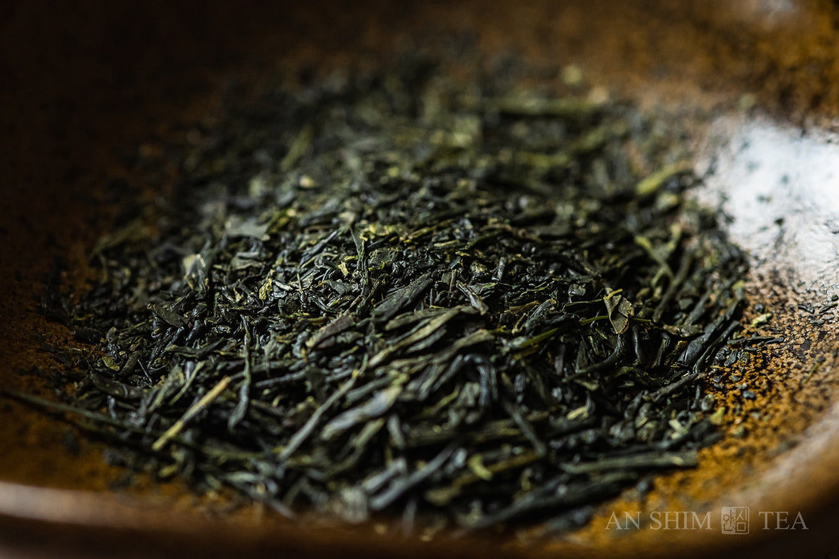 Sencha
