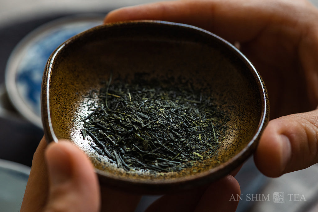 Sencha