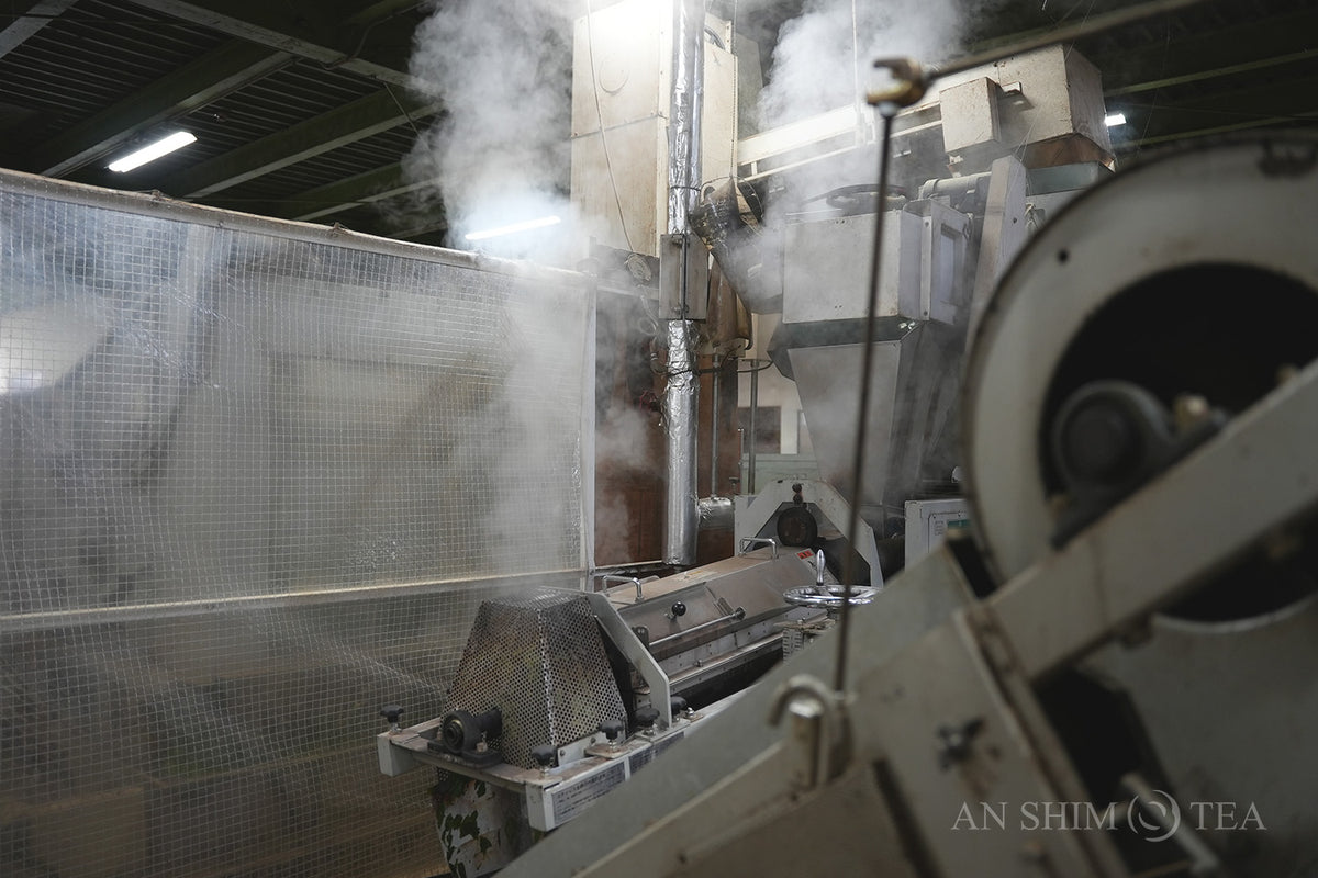 Matcha Washimine