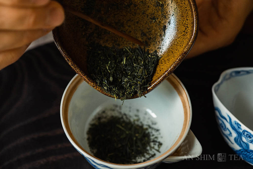 Sencha