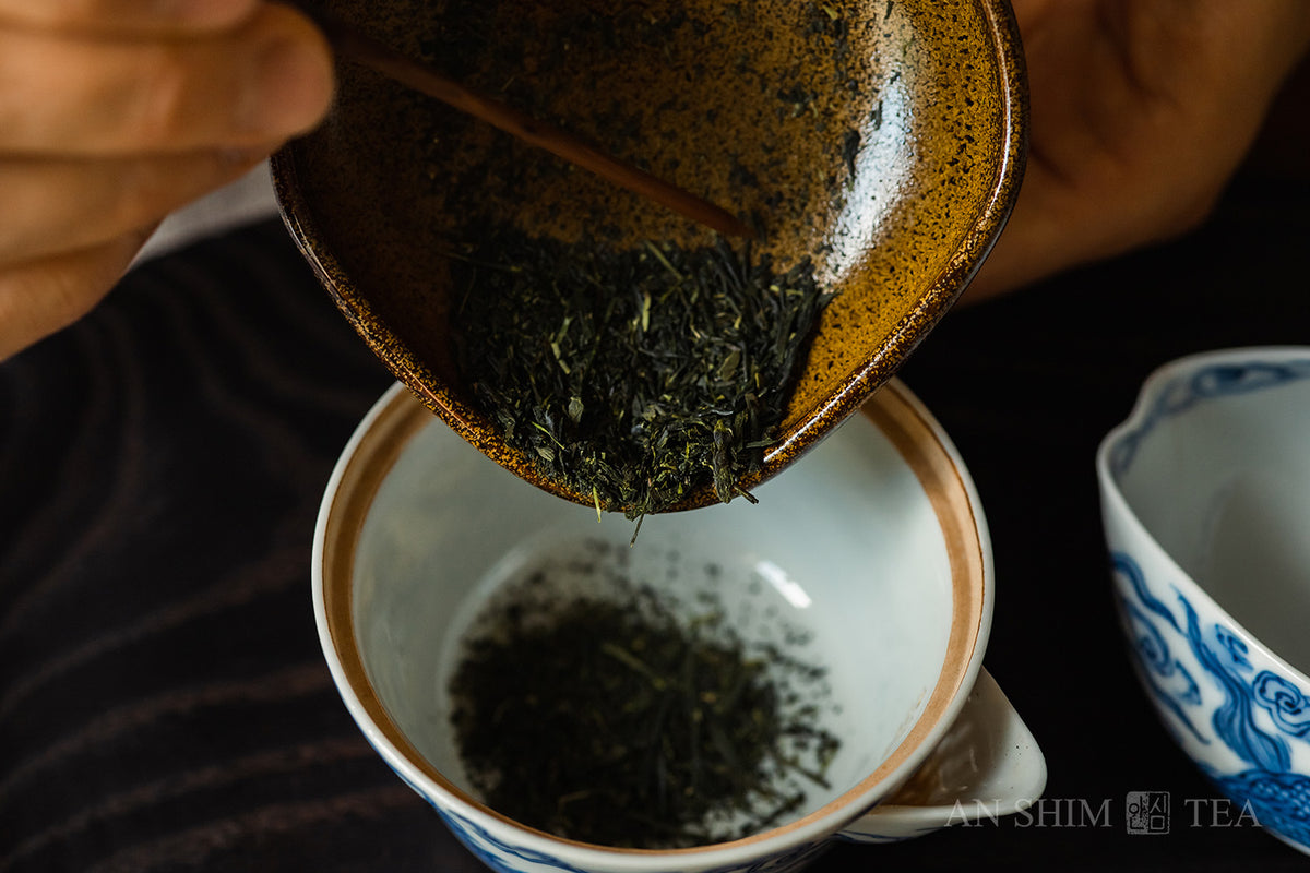 Sencha
