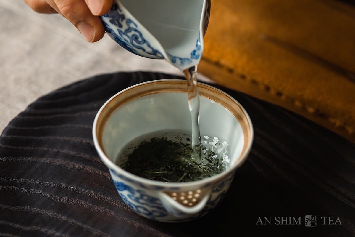 Sencha