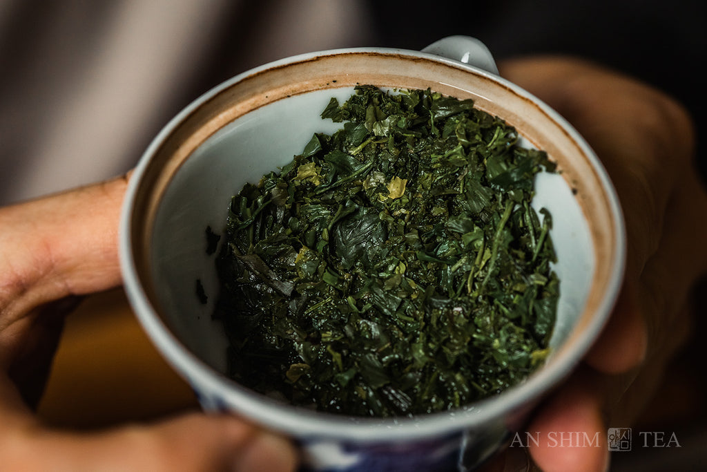 Sencha